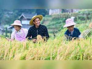 chinese farmers (edited).