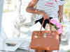 Top branded handbags for women