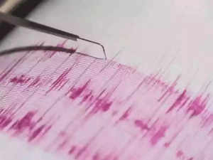 earthquake-of-magnitude-4-9-hits-arunachal-pradeshs-basar.