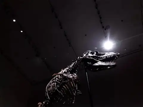 ​Lived 76 million years ago