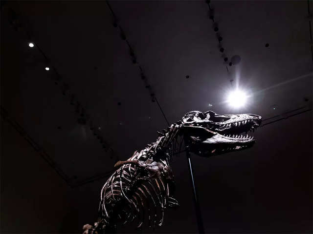 Rare auction in New York: A dinosaur skeleton - A unique auction | The ...