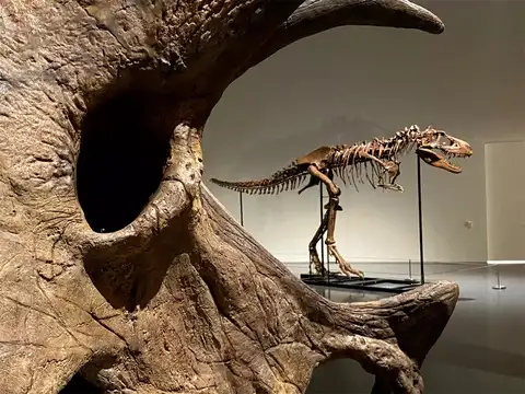 ​How much will it fetch?