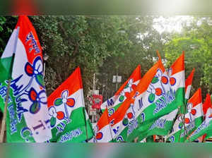 TMC flags.