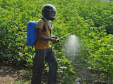 Insecticides India gets GSP compliance certification for its Chopanki R&D lab