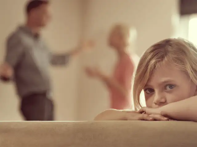 Factors considered by court - Who gets child's custody after a divorce? |  The Economic Times