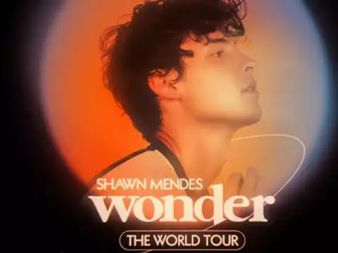 About 'Wonder'