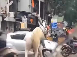 Swiggy announces reward for locating horse-riding delivery person in Mumbai