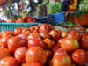 Tomato prices drop by 60% in a month