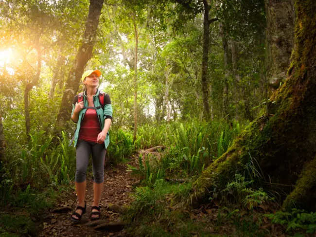 Walk-rainforest_640x480_Thinkstock