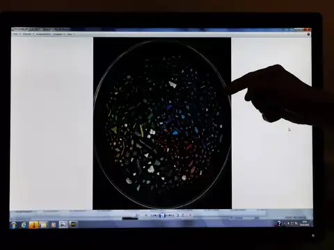 Plastic pollution in the seas