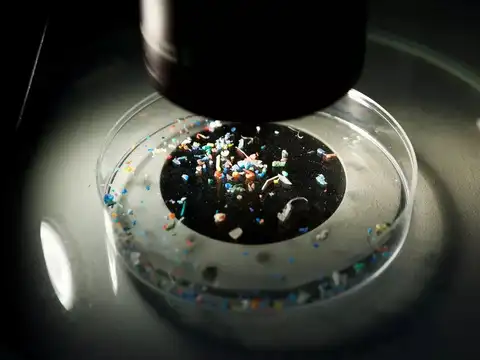Microplastic pollution