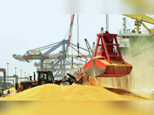 FM Seeks WTO Relief on Grain Exports