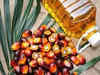 Indonesia has to ship 6 mln T of palm oil up to August to clear tanks