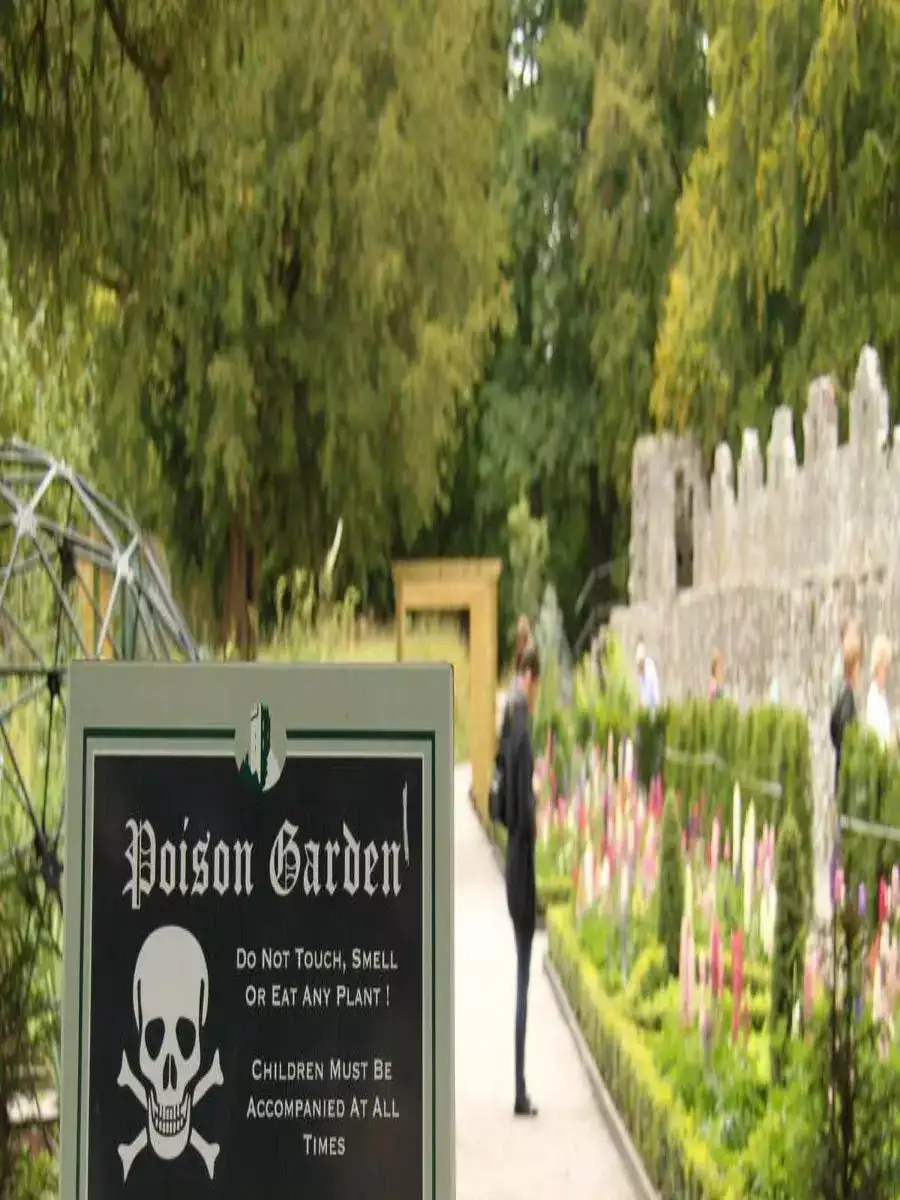 Take a look inside the world's deadliest garden EconomicTimes