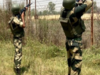 BSF nabs Pakistani man who crossed border to kill Nupur Sharma