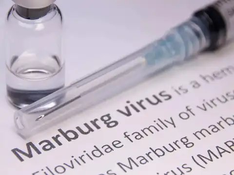 ​Dozens of outbreaks