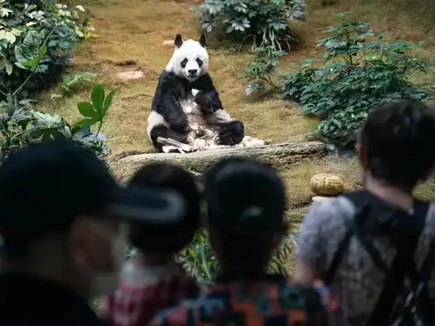 ​Hong Kong theme park