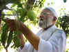 Meet Kaleem Ullah Khan, the father of 300 varieties of mangoes in India