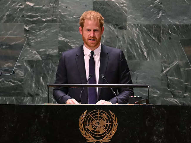 ​"This has been a painful year in a painful decade," Prince Harry told the UN delegates.​
