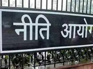 NITI Aayog has made a mark, but the jury is still out on whether this young sarkari thinktank will ever be a bridge between the Centre and states