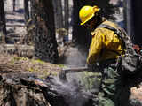 California governor declares emergency over wildfire near Yosemite