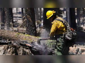 Washburn Fire burns near Yosemite National Park Reuters