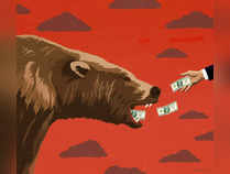 Surviving bear attacks in the stock market; remember these 4 rules