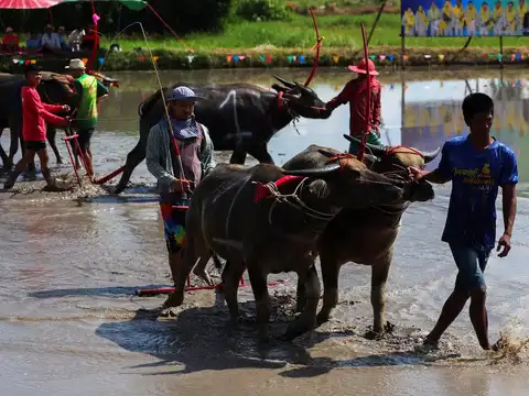 ​200-meter-long dirt track