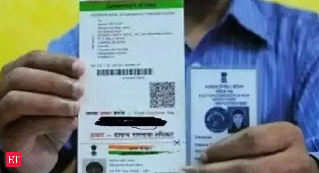 Vote id. Voter ID. Aadhar ID. Voter ID Mexico 2024. Voter Card India.