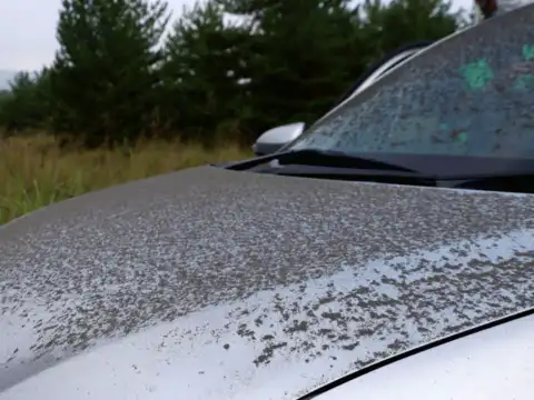 Rain of ash