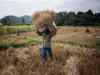 Draft law on land acquisition gives farmer 20% of rise in land value, may carry employment clause