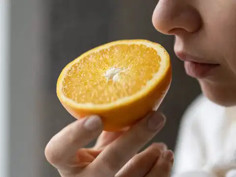 ​Olfactory nerves