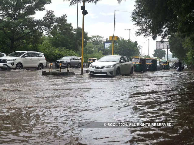 Delhi receives rain