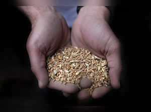 Minister: Lebanon to build new silos to ease wheat crisis