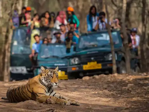 ​Bandhavgarh National Park