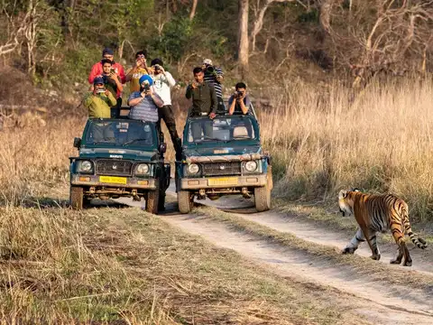 ​Jim Corbett Tiger Reserve