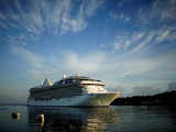 Cruises riding a resurgent wave as travel picks up