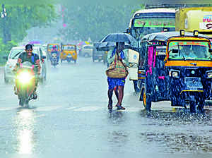 ​"There will be a light to moderate rain till August 5 in most parts of Tamil Nadu and Southwest monsoon has intensified," IMD official said.