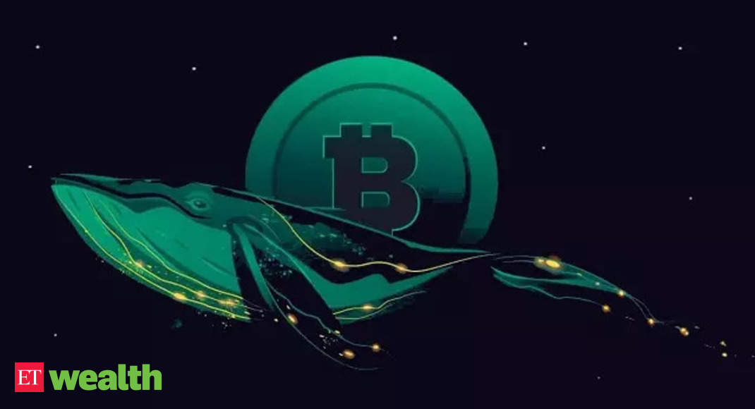 5 Best cryptocurrency that crypto whales are buying in 2022 - Economic Times