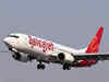 SpiceJet flights to be reinstated gradually: DGCA
