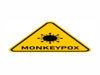 What you need to do to stay safe from monkeypox