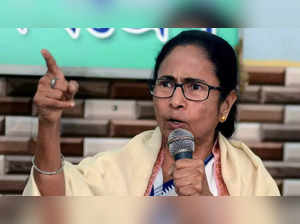 West Bengal to get seven new districts, says CM Mamata Banerjee