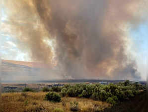 Wildfires rage in US: Authorities evacuate town in Washington state. This is what has happened