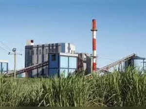Maharashtra ethanol production likely to reach 140 crore litre next year: Sugar industry representative