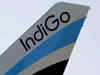 Can demand revival pave the way to profitability for IndiGo?