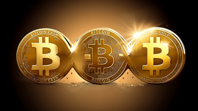 Crypto Price Today: Bitcoin tops $24,000; Ethereum, Polkadot rally up to 12%