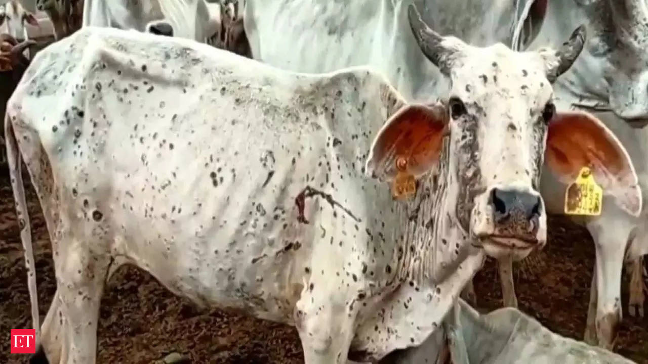 Lumpy virus: Rajasthan government bans animal fairs as Lumpy virus spreads  - The Economic Times