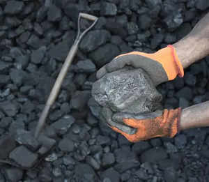 Coal rejects reach Madhya Pradesh railway siding, locals allege scam