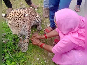 woman leopard