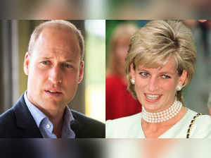 Prince William's admirers criticise Princess Diana. Read the details